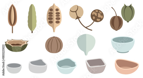 Collection of Various Spices and Seeds in Different Forms.