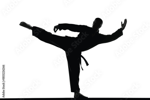 Martial artist performing a high side kick in black uniform martial arts silhouette