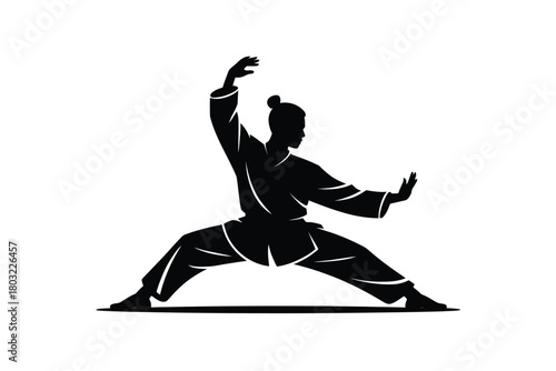 Martial artist silhouette performing wide stance movement martial arts warrior