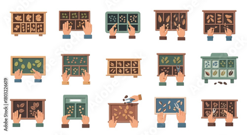 Educational Biology Displays with Insects Plants and Specimens Set.