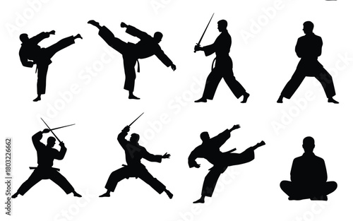 Martial artists in action and repose martial arts karate