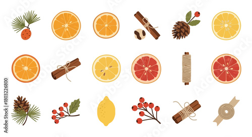 Festive arrangement of citrus fruits, cinnamon sticks, and pine cones.