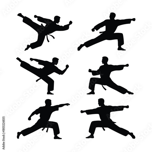 Martial artists performing dynamic combat stances karate martial arts