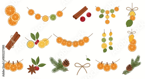 Festive Citrus and Spice Holiday Decorations Collection.