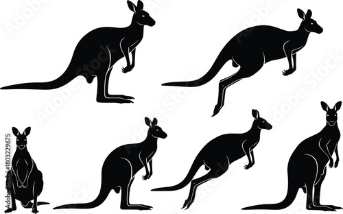 Black kangaroo silhouette vector illustration set, Australian animal poses, wildlife jumping and standing kangaroos, isolated design for nature, zoo, and safari concepts