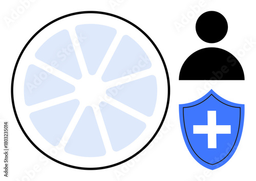Circular segmented chart beside a user icon and medical shield with a cross represents health coverage, security, and data monitoring. Ideal for health insurance, wellness, patient care, security