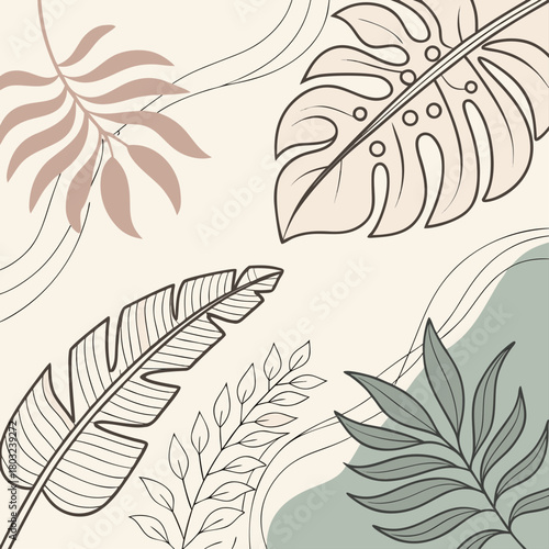 Tropical leaf pattern background isolated on