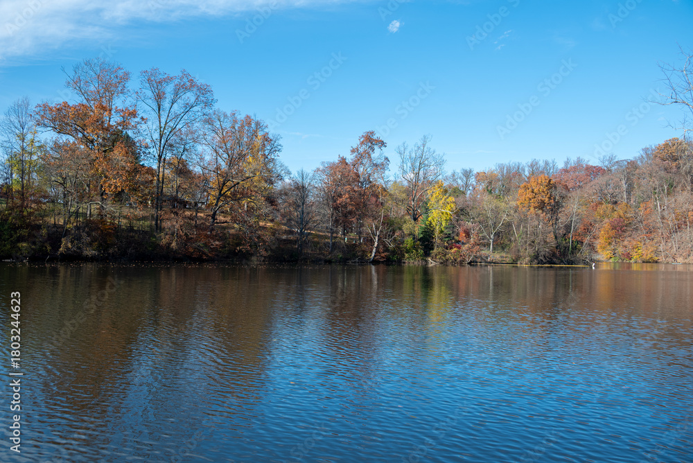 Obraz premium Fall Leaves over Pond