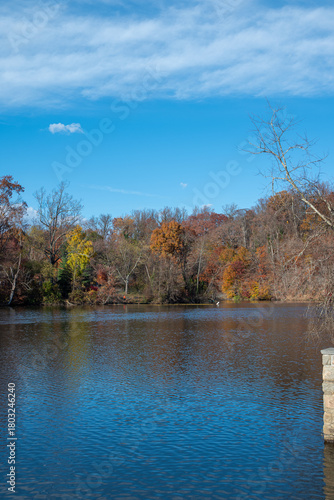 Fall Leaves over Pond