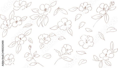 正月イラスト。年賀状にも使える椿の線画イラスト。和風の椿と植物のイラスト。椿の正月背景。
New Year's illustration. A line drawing of a camellia that can also be used for New Year's cards. Japanese-style camellia and plant illustration. Camellia 