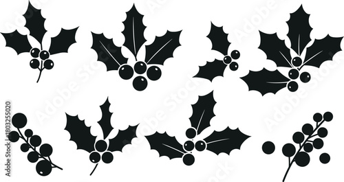 Black silhouette holly sprigs with berries on white background vector graphic branch