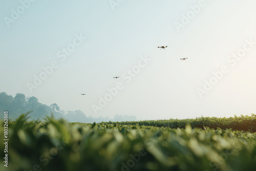 drones gather morning dew to provide water in parched region under bright morning sun