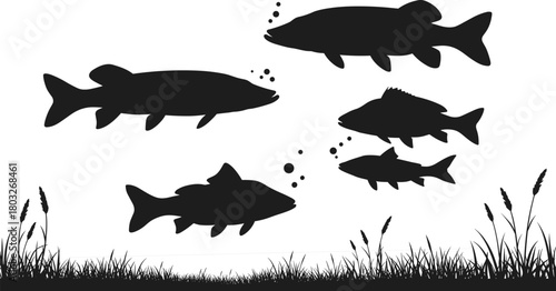 Black silhouettes of various fish swimming with bubbles above reeds and grass against a white background