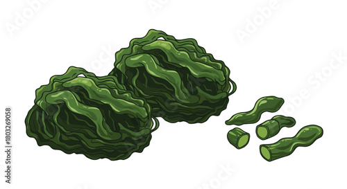 Fresh green seaweed close up healthy food concept.