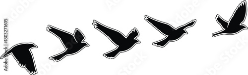 Five black silhouette birds in flight sequence on white background flying