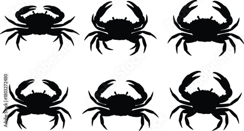 Six black crab silhouettes arranged in two rows of three on a white background ocean