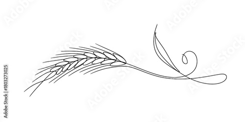 Minimalist line art illustration of a single wheat ear with an elegant flowing swirl, symbolizing harvest, agriculture, and natural organic growth