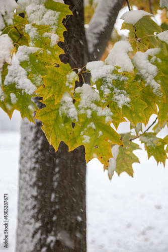 First snow in Toronto