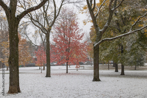 First snow in Toronto