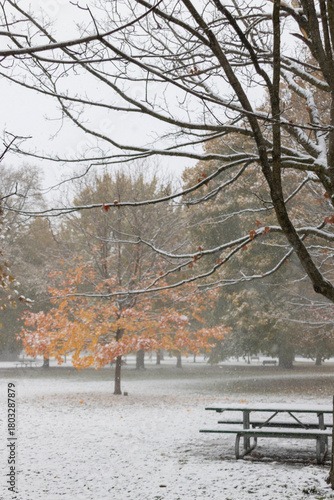 First snow in Toronto
