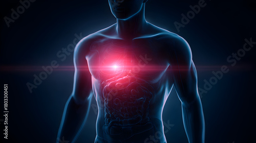 Human Anatomy Model with Radiant Heart Center, Illustrating the Internal Organs and Systematic Structure Overall in a Dark and Mysterious Setting