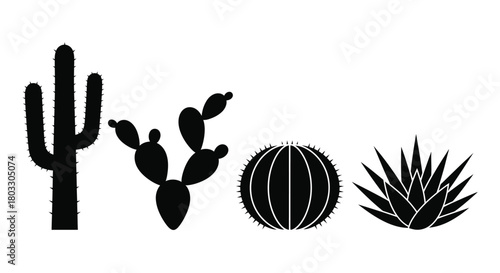 Black and white silhouette of various desert cacti and succulent