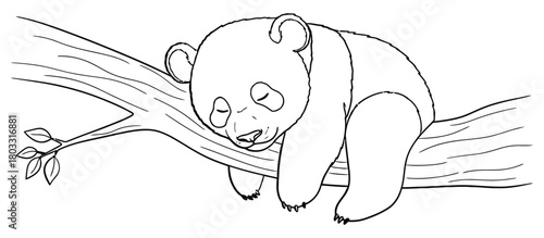 Cute Sleeping Panda Bear Cub Resting on Tree Branch Black Line Art Coloring Page Outline Vector Illustration