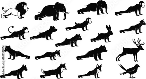 Collection of black animal silhouettes in various yoga poses on white background