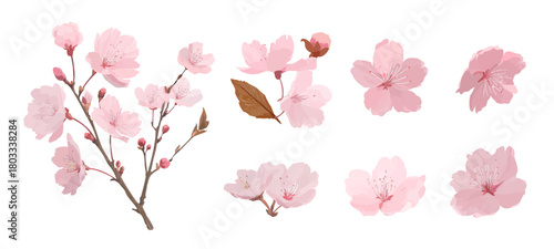 やさしいピンクの色合いの水彩風桜イラストセット