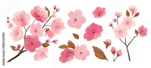 濃いピンク色の水彩風桜のイラストセット