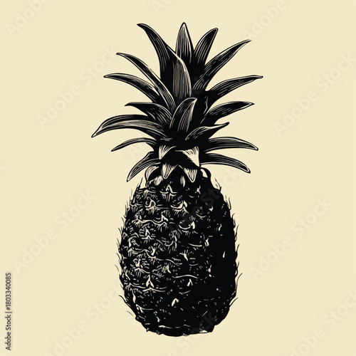 A vintage illustration of a fresh pineapple with a textured skin and spiky leaves, rendered in a dark, detailed style on a muted background