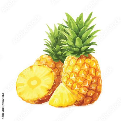 Fresh pineapple illustration a whole fruit and sliced pieces, vibrant colors on a white background