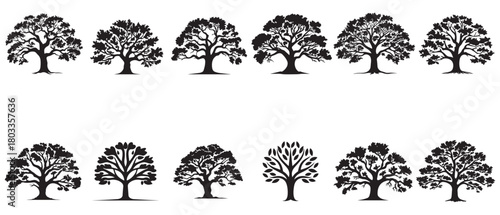 Black Tree icon isolated on white background. Vector Illustration.