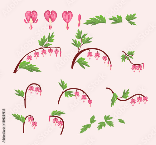 Bleeding Heart Flower Botanical Elements Collection