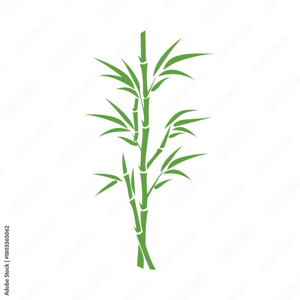 Fototapeta premium Bamboo leaves icon over white background, silhouette style, vector illustration