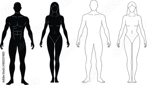 Human body silhouette and outline templates, male and female anatomical figure references, standing full-body poses for medical, fitness, and artistic illustration design