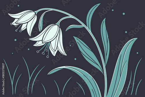 Illustration of two white bellflowers with stamens and green leaves on a dark blue background