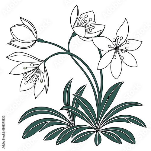 Illustration of a flowering plant with white petals and green leaves on a white background art deco style