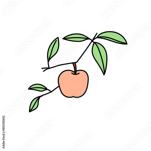 やわらかな色合いで枝に実るりんごを描いたイラスト｜シンプルな線と淡い色彩で食品や農業シーンにも使いやすいナチュラルな表現の素材