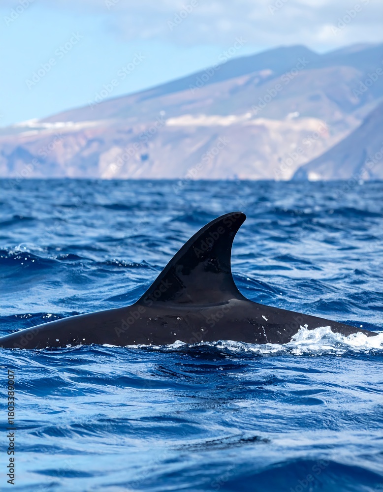 Fototapeta premium A sleek, dark marine mammal surfaces in deep blue ocean, dorsal fin prominently displayed. Distant, rugged mountains under a clear sky