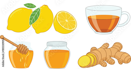 Set of Natural Ingredients for Healthy Drinks, Featuring Lemon Fruit, Sliced Ginger Root, Honey in a Jar with Dipper, and a Hot Herbal Tea Mug Vector Illustration.