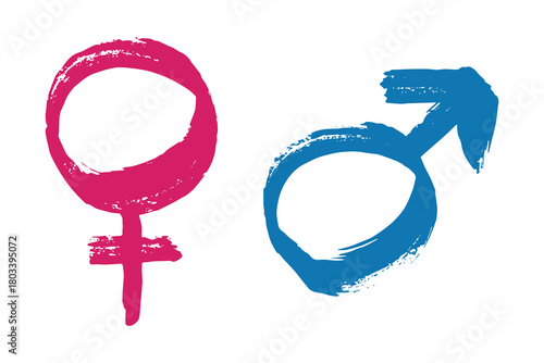 Hand drawn female and male gender identity sign Symbol used to represent sex and gender Single element for print, web, design, decor