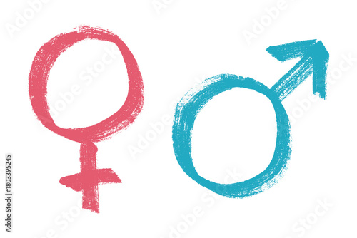 Hand drawn female and male gender identity sign Symbol used to represent sex and gender Single element for print, web, design, decor