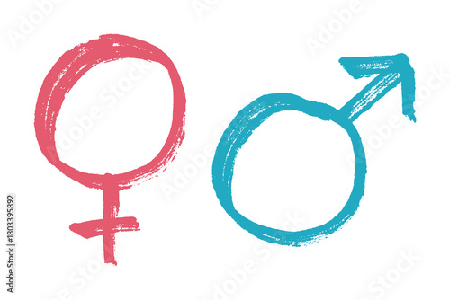 Hand drawn female and male gender identity sign Symbol used to represent sex and gender Single element for print, web, design, decor