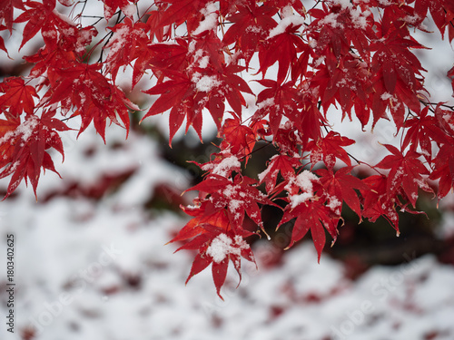 季節のグラデーション