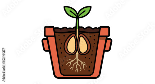 Watch your business grow from the ground up, just like this seedling