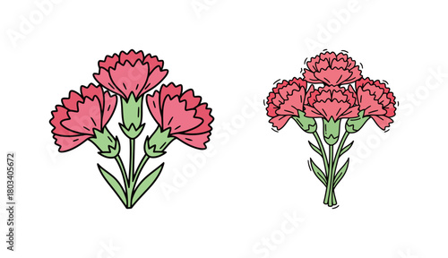 Two Bunches of Pink Carnation Flowers, Hand-Drawn Cartoon Vector Illustration in a Simple Doodle Style for Mother's Day, Bouquets, and Floral Concepts