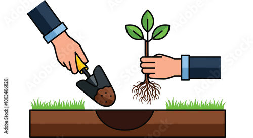 Planting new life seedling with care for growth and sustainability