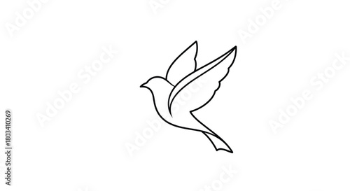 A delicate line drawing of a bird in flight gracefully soaring upwards into the sky.