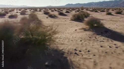 Sandy desert plain with sparse vegetation & distant mountains under a hazy sky in daytime; earthy, textured landscape